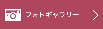 フォトギャラリー