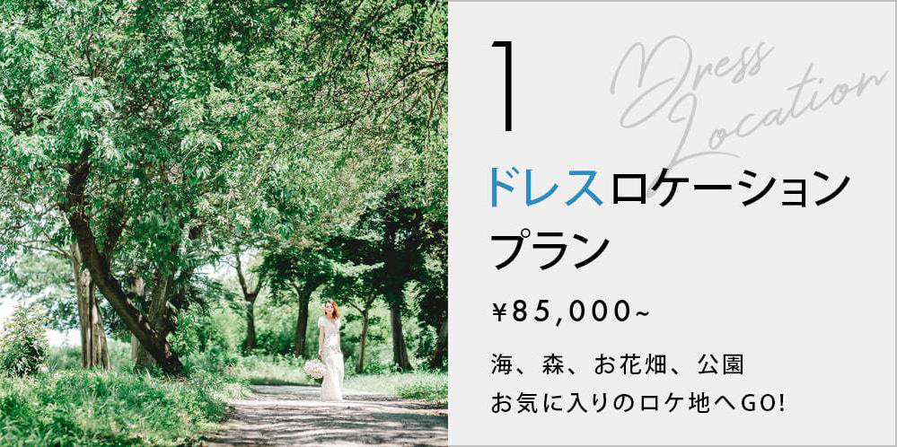 ドレスロケーションプラン